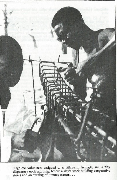 togolese volunteers in senegal